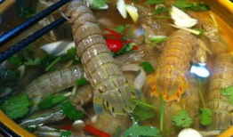 潮汕江边吃瓜最新事件爆料,最新爆料揭示惊人真相